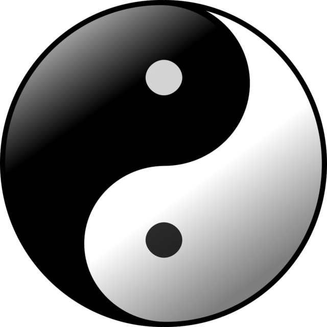 Soul Flame and Twin Flame Expand the Yin Yang Universe